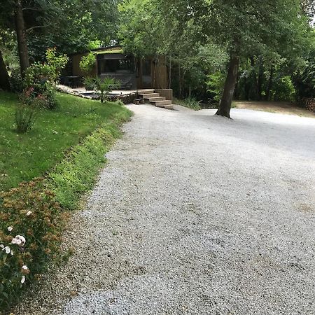 Bus Atypique Au Bord Du Canal Du Midi Et Au Coeur D'Une Foret 2 Chambres Villepinte  Exteriör bild