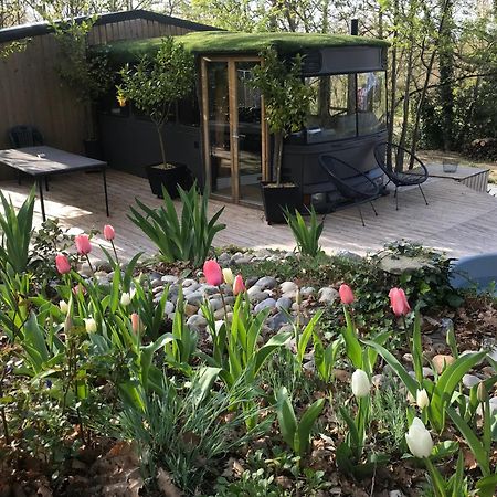 Bus Atypique Au Bord Du Canal Du Midi Et Au Coeur D'Une Foret 2 Chambres Villepinte  Exteriör bild