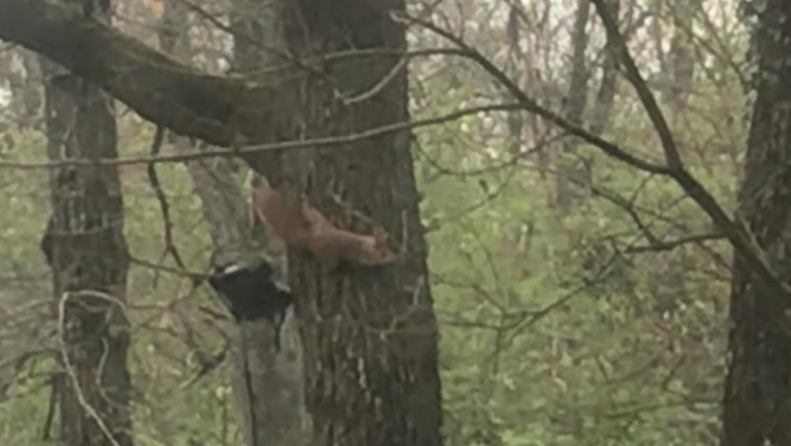 Bus Atypique Au Bord Du Canal Du Midi Et Au Coeur D'Une Foret 2 Chambres Villepinte  Exteriör bild