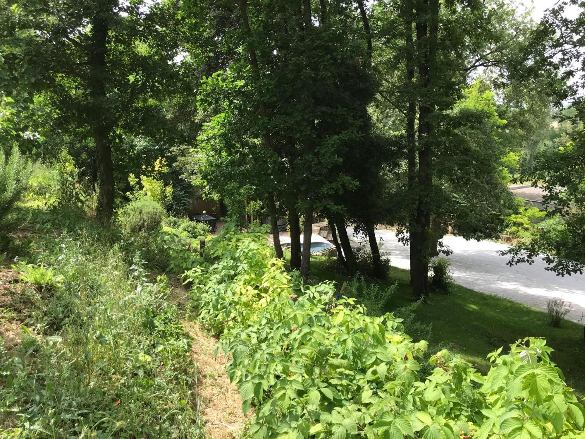 Bus Atypique Au Bord Du Canal Du Midi Et Au Coeur D'Une Foret 2 Chambres Villepinte  Exteriör bild