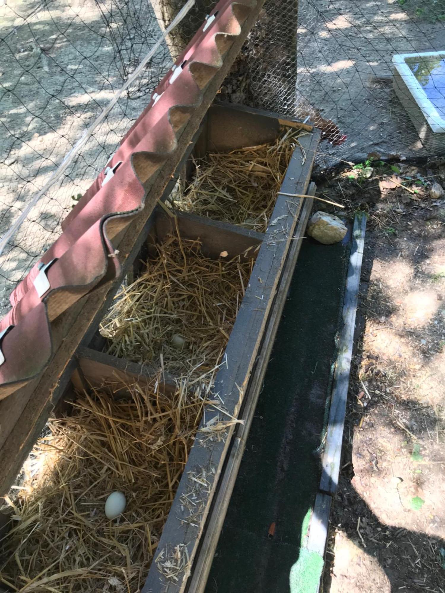 Bus Atypique Au Bord Du Canal Du Midi Et Au Coeur D'Une Foret 2 Chambres Villepinte  Exteriör bild