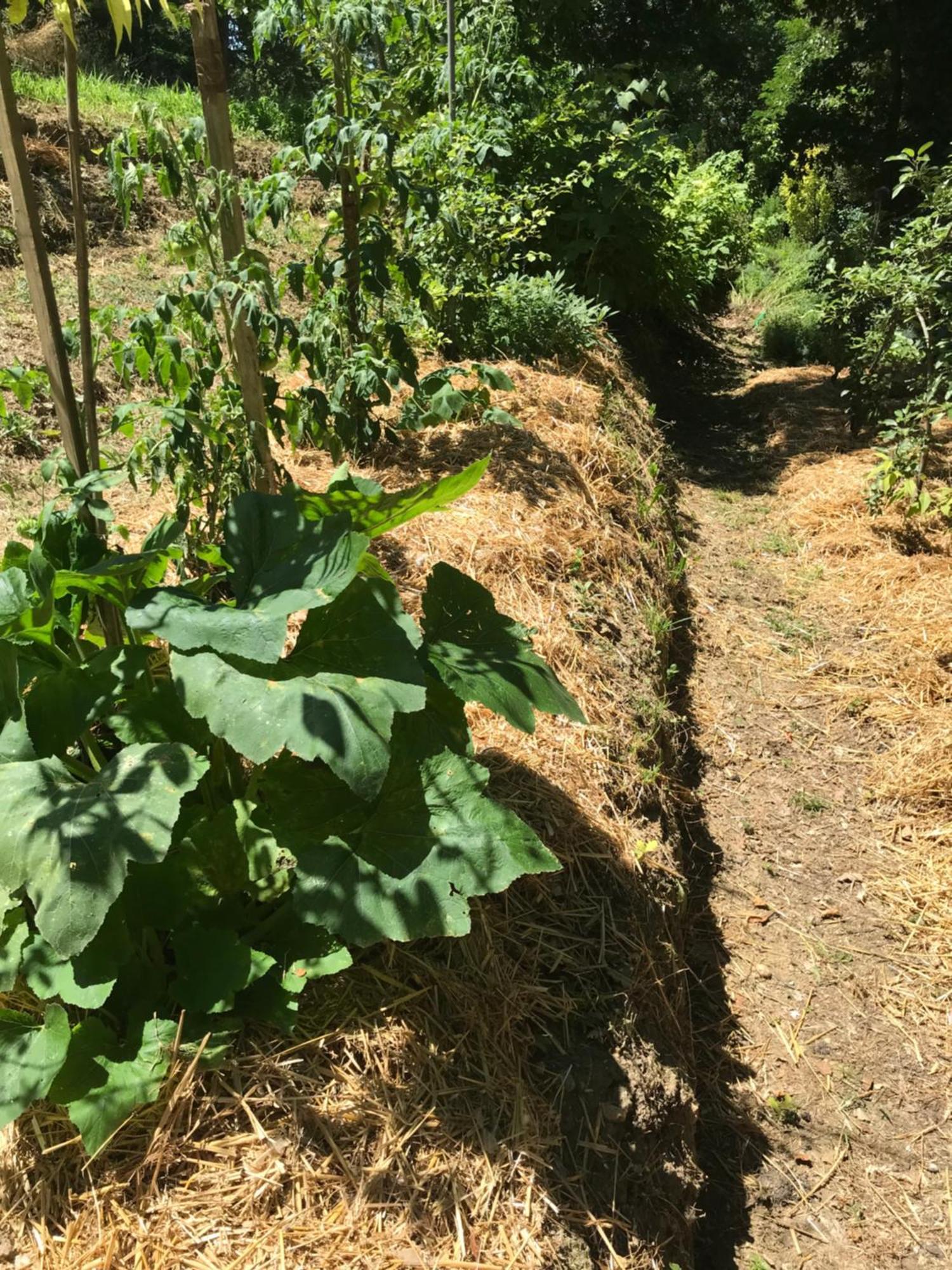 Bus Atypique Au Bord Du Canal Du Midi Et Au Coeur D'Une Foret 2 Chambres Villepinte  Exteriör bild