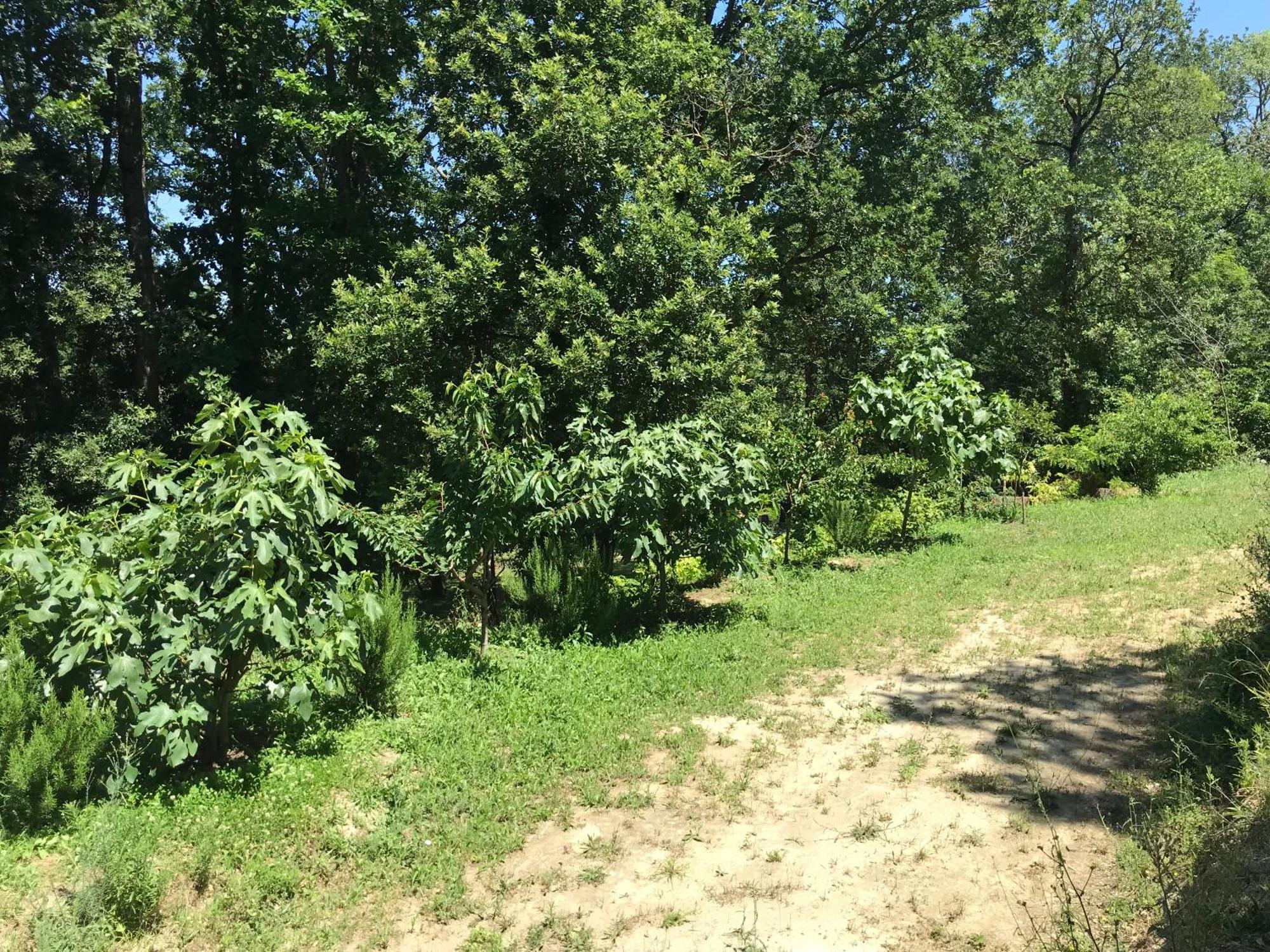 Bus Atypique Au Bord Du Canal Du Midi Et Au Coeur D'Une Foret 2 Chambres Villepinte  Exteriör bild